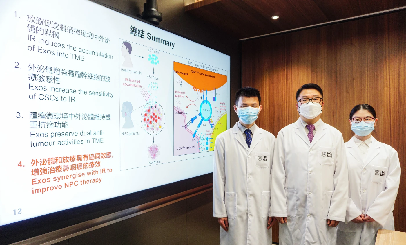 港大醫學院發現γδ-T細胞外泌體聯合放射治療<br>
可作為治療鼻咽癌的新方法