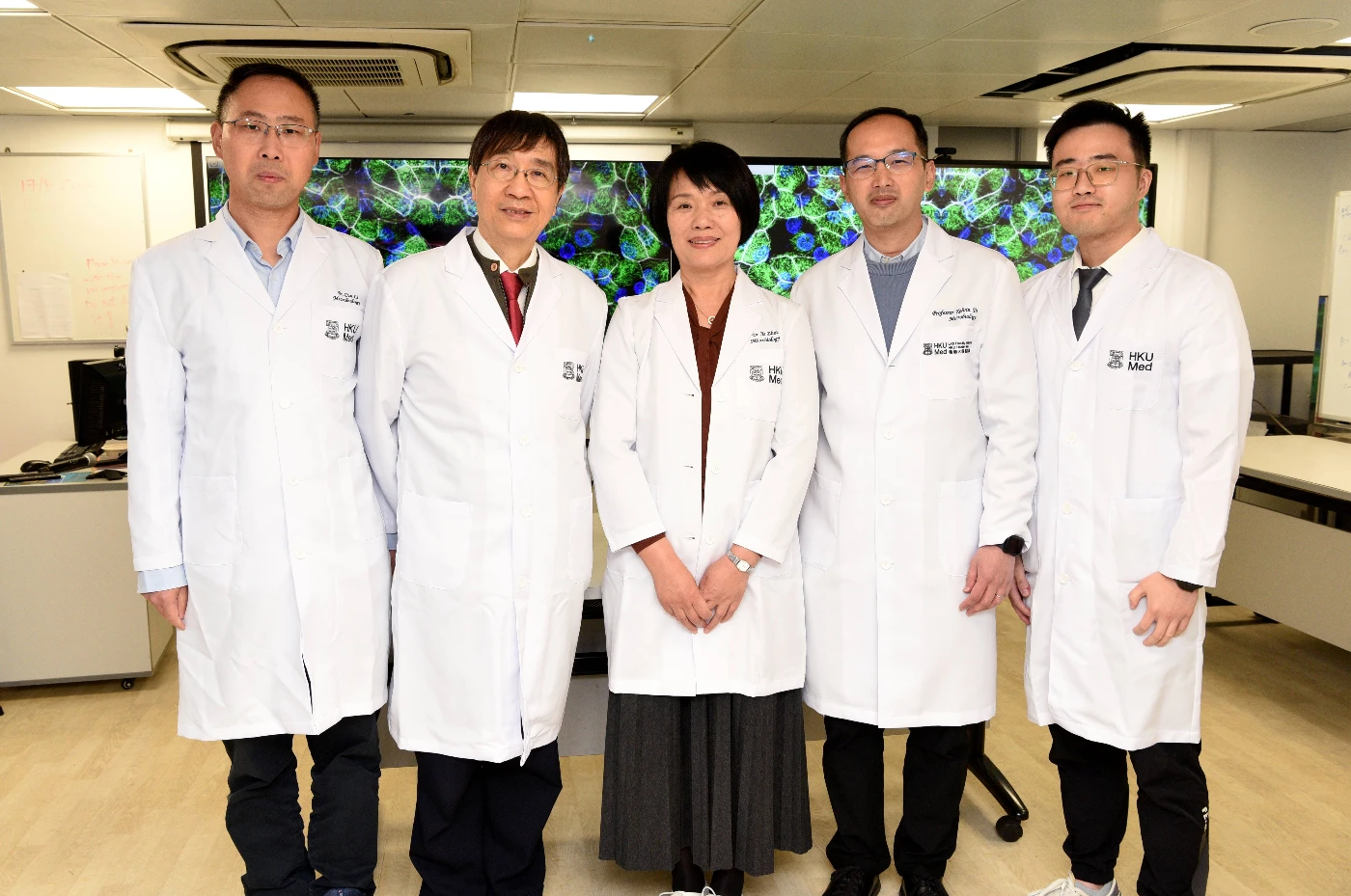 港大醫學院創新「人類呼吸道類器官模型」成功繁殖鼻病毒C型<br>
破20年困局加快疫苗及藥物開發