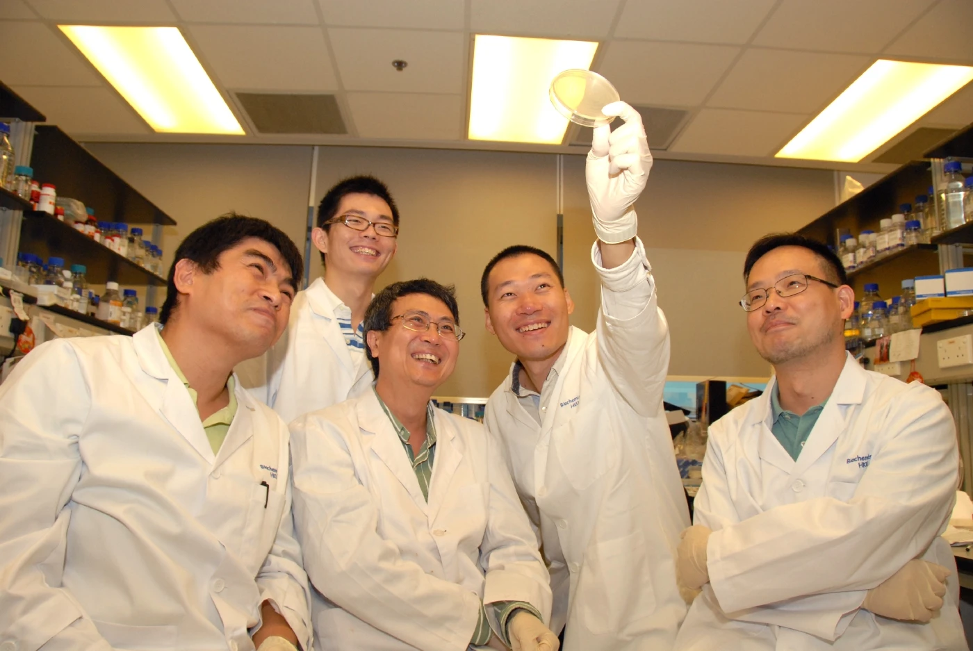 港大與國際研究小組合作發現嶄新生物學原理控制細胞生長成有序圖案 了解生物結構的形成機制