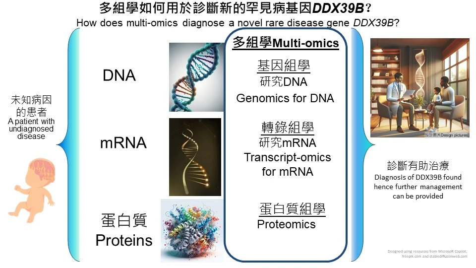 The research utilises multi-omics which can cover a wide range of human diseases in a single analysis to reveal the potential genetic factors causing the disease, aiding the development of novel screening, diagnostic, preventive and therapeutic strategies.