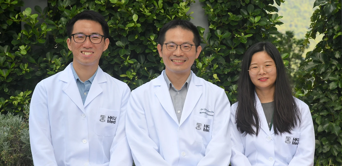 HKUMed-QMUL research team identify biomechanical and molecular signals that trigger early progression of atherosclerosis