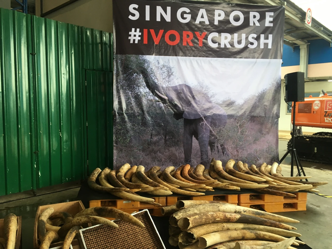 港大與嶺大合作生態研究揭⽰<br>
國際貧富差距為驅動野生動物貿易主因