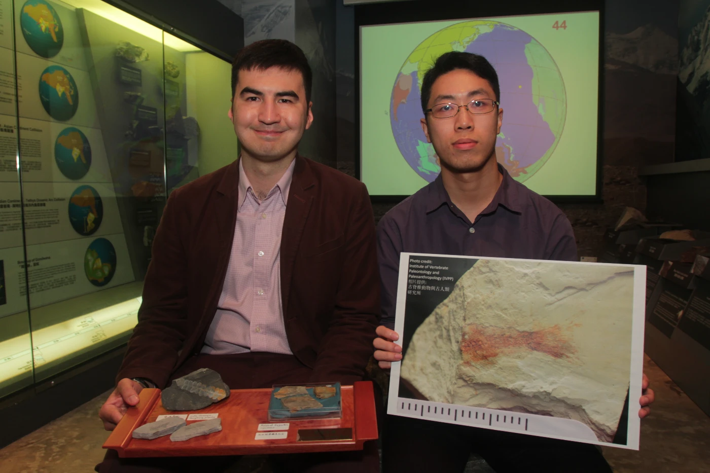 香港首次鑑別出恐龍時代的脊椎動物化石<br>
港大地球科學系研究:「副狼鰭魚」一億四千多萬年前居於荔枝莊
