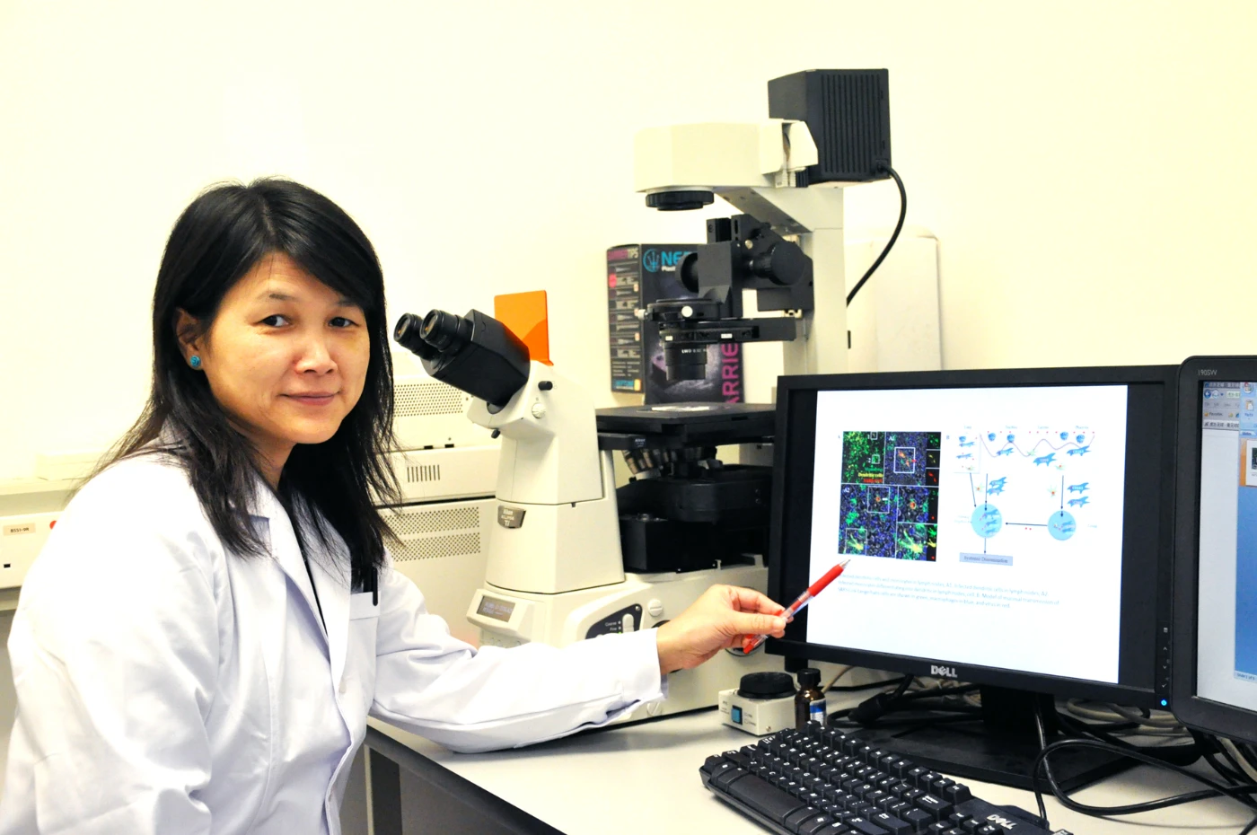 HKU discovers how SARS-CoV evades respiratory innate immunity to establish a systemic infection