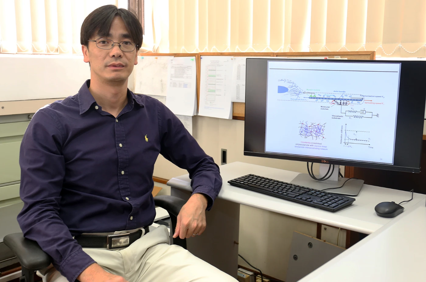 香港大學科學家在生物物料研究取得重大突破<br>
有助人體活組織和器官培植發展