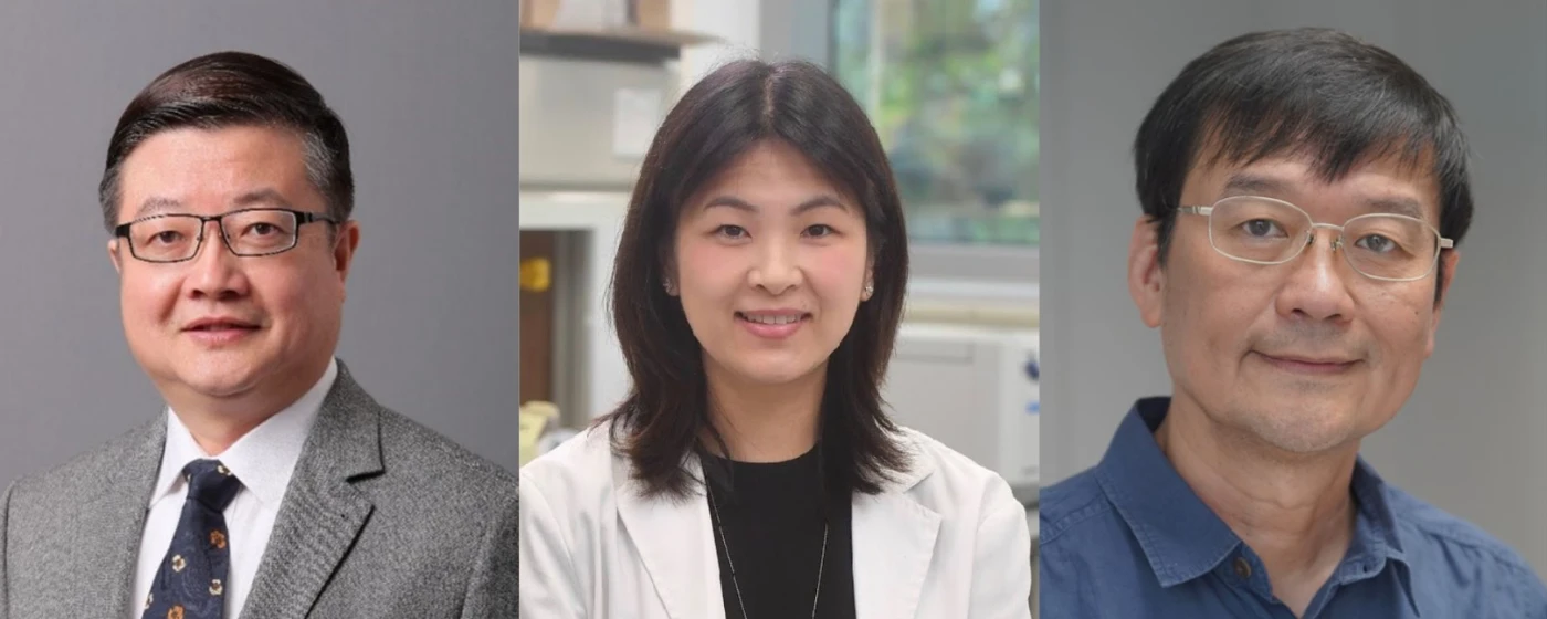 HKU researchers lead the largest share of projects in the Theme-based Research Scheme