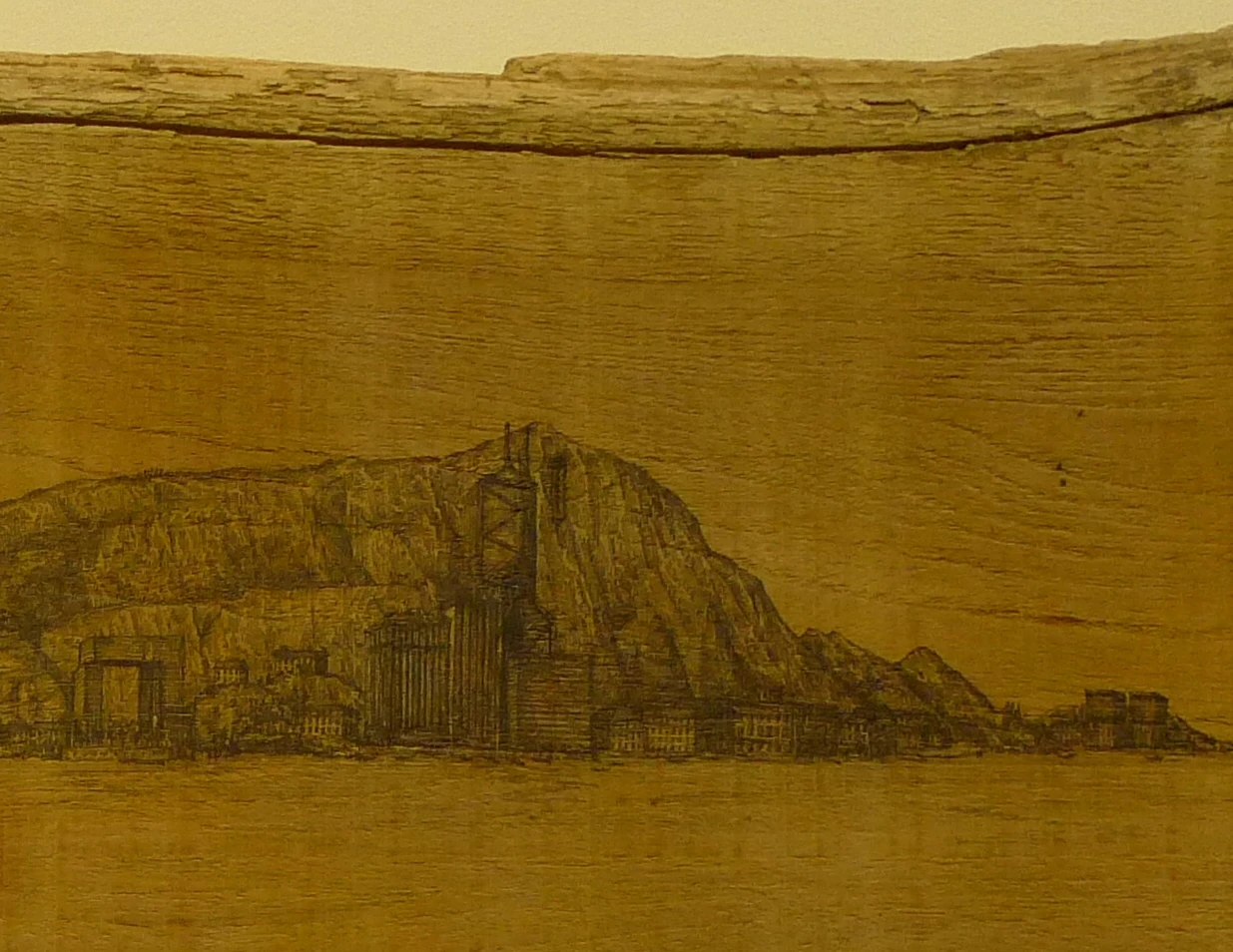Eric Fok
     Paradise Series
     Painting (Wood, Technical Drawing Pen)
     Banner behind the Bank of China depicts “Want true suffrage”