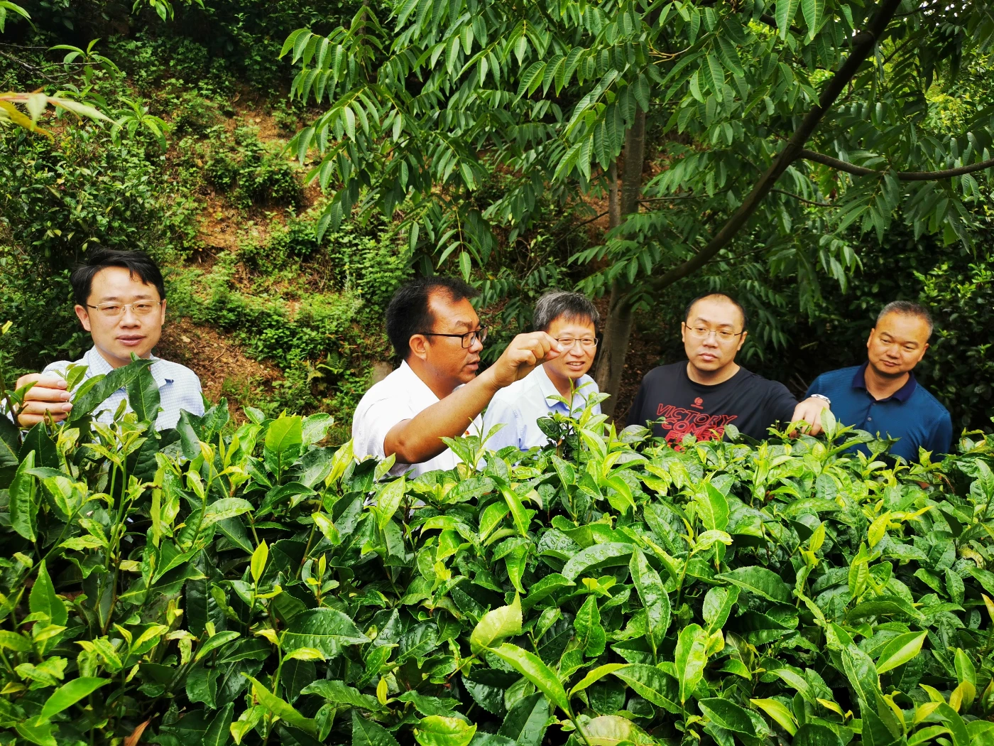 Rural Sustainability Programme – APAC Initiative for Regional Impact (AIRI) Holds Inaugural Regional Roundtable
