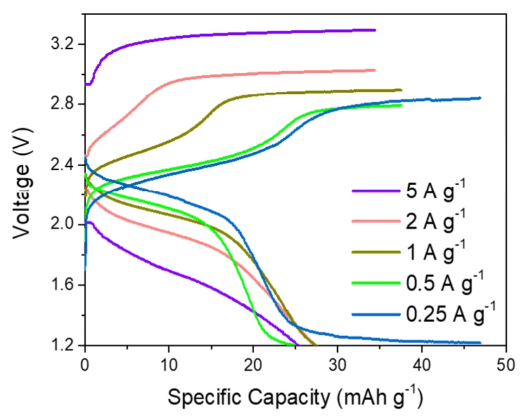 Electrochemical performance of the aqueous Mg battery