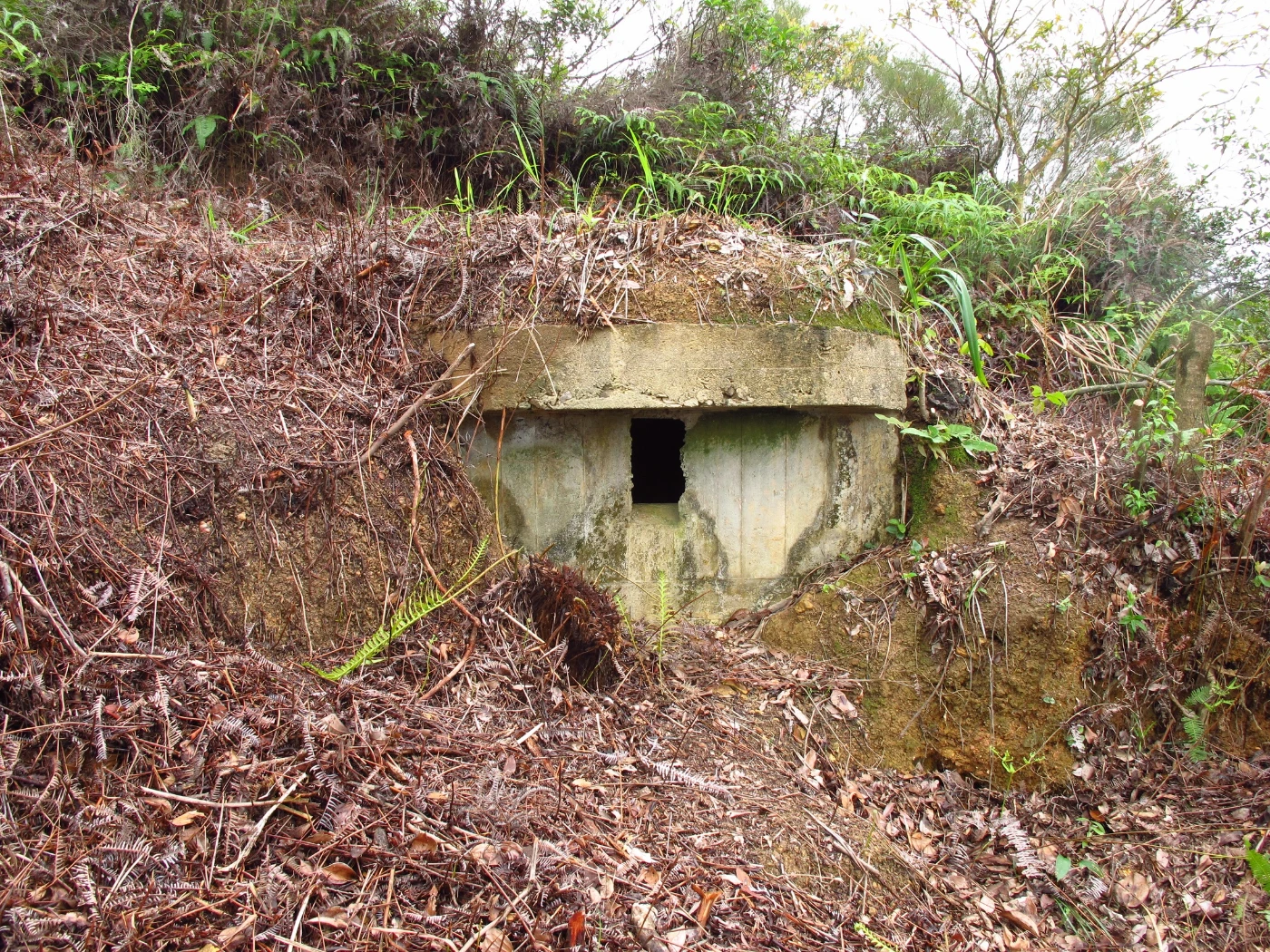 A small pillbox PBY (photo credit: The University of Hong Kong)