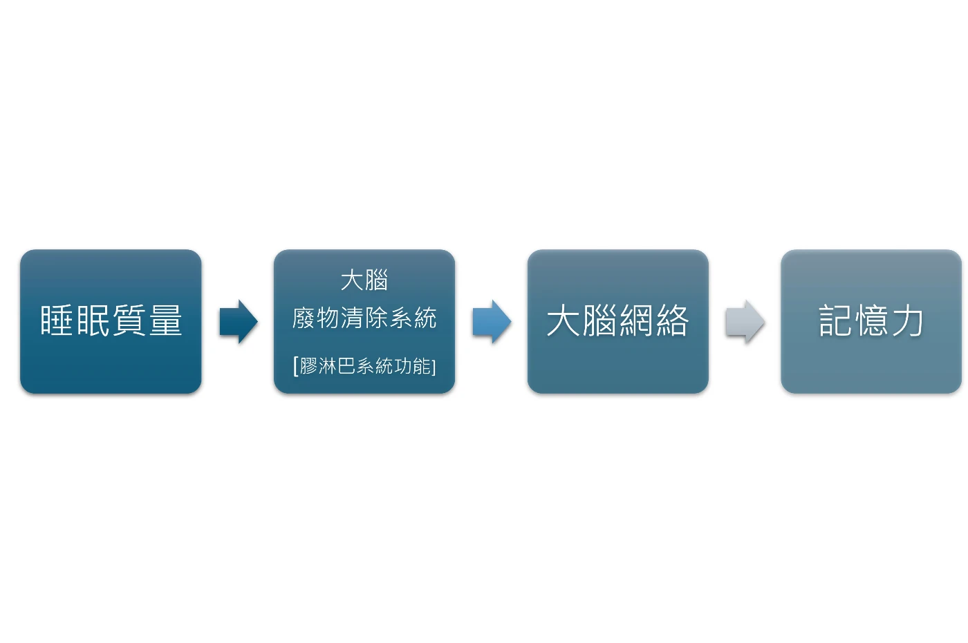 港大研究顯示睡眠質量影響大腦「廢物清除系統」，從而損害長者記憶力。