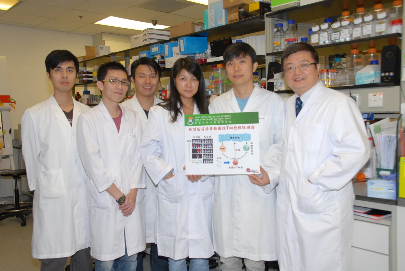 HKU discovers a new mechanism of killer T cells in elimination of cancer