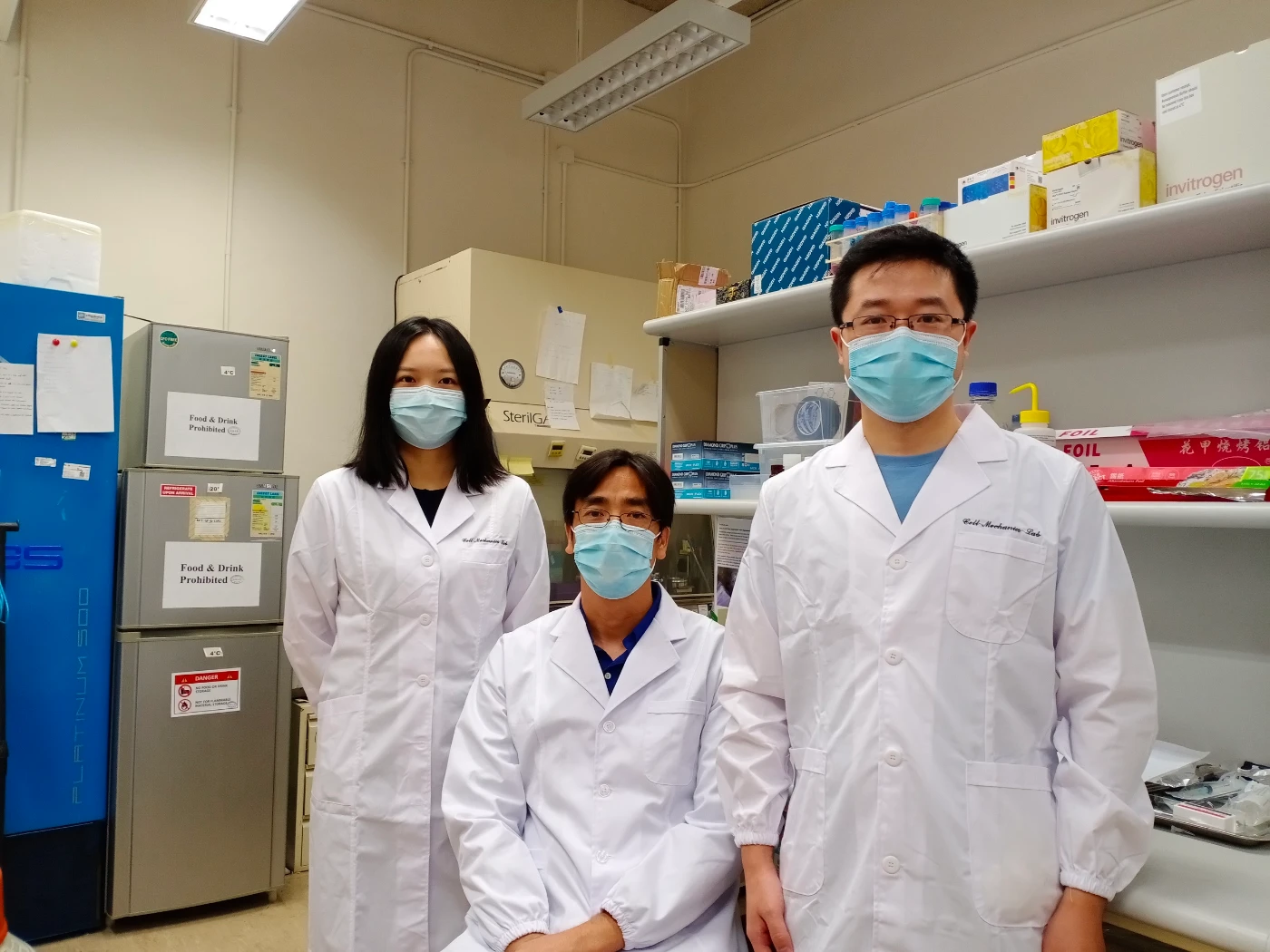 HKU scientists research breakthrough in cell mechanics <br>
discovers abnormal embryo elongation for early treatment