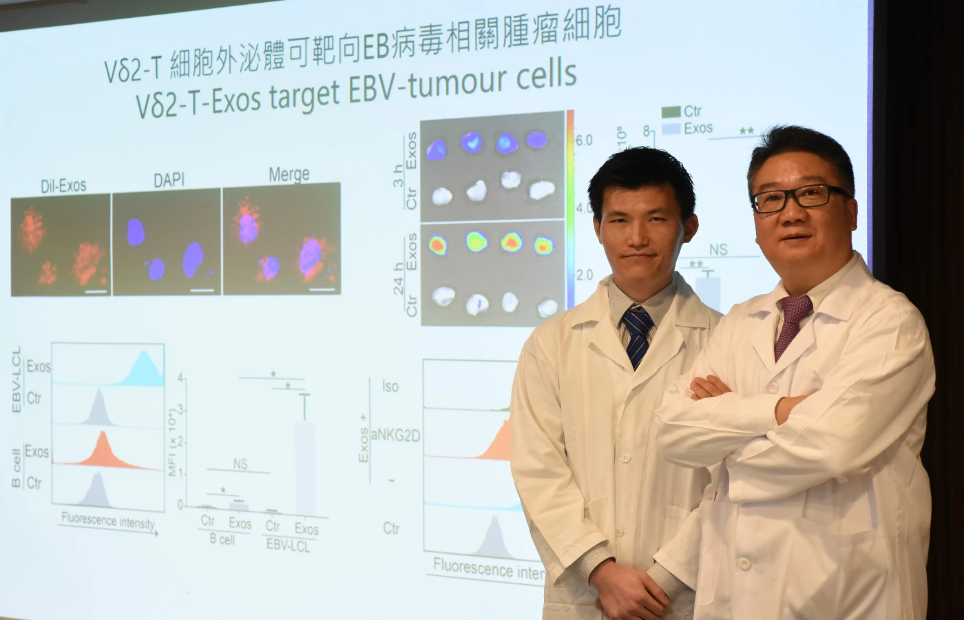 港大醫學院發現Vδ2-T細胞外泌體<br>
可作為治療EB病毒相關腫瘤的新方法