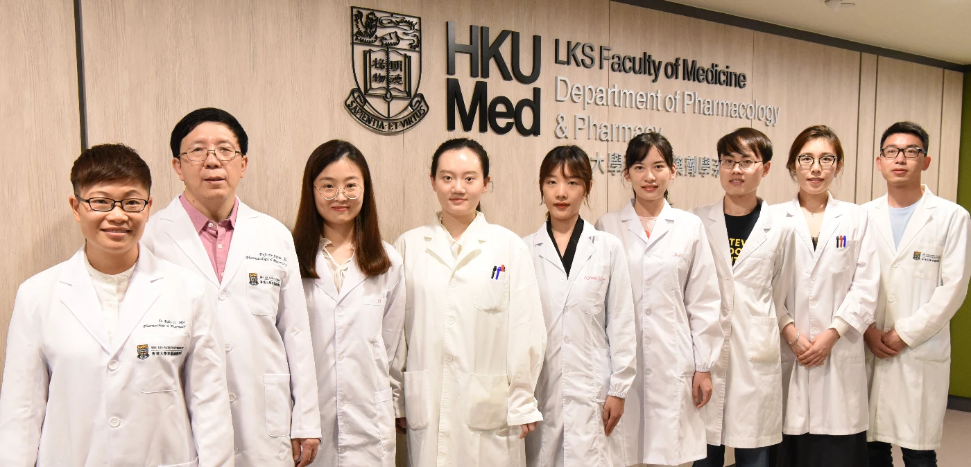 港大醫學院發現一種新的腦缺血損傷介質及其病理機制<br>
為缺血性中風治療提供新治療靶點