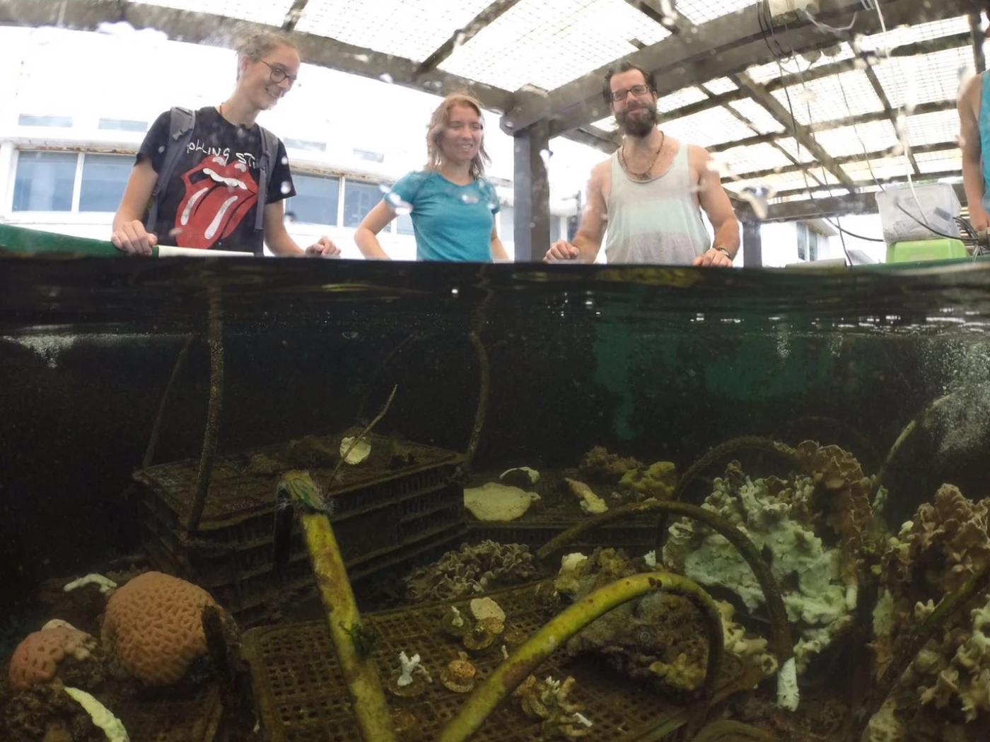 港大海洋生物學家從珊瑚飲食習性<br>
解構其於氣候暖化環境下對抗白化的能力