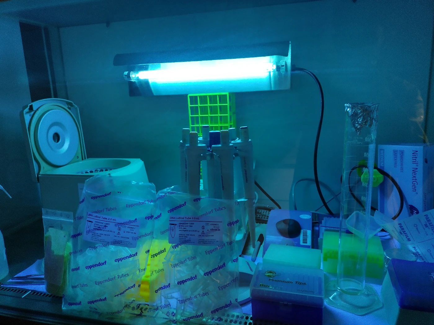 團隊在德國基森從標本提取DNA 時使用的高度無菌實驗室工作台。
圖片提供：Arthur Sands