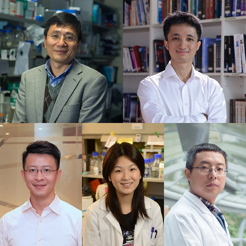 港大於研資局最新的研究撥款中取得卓越成績