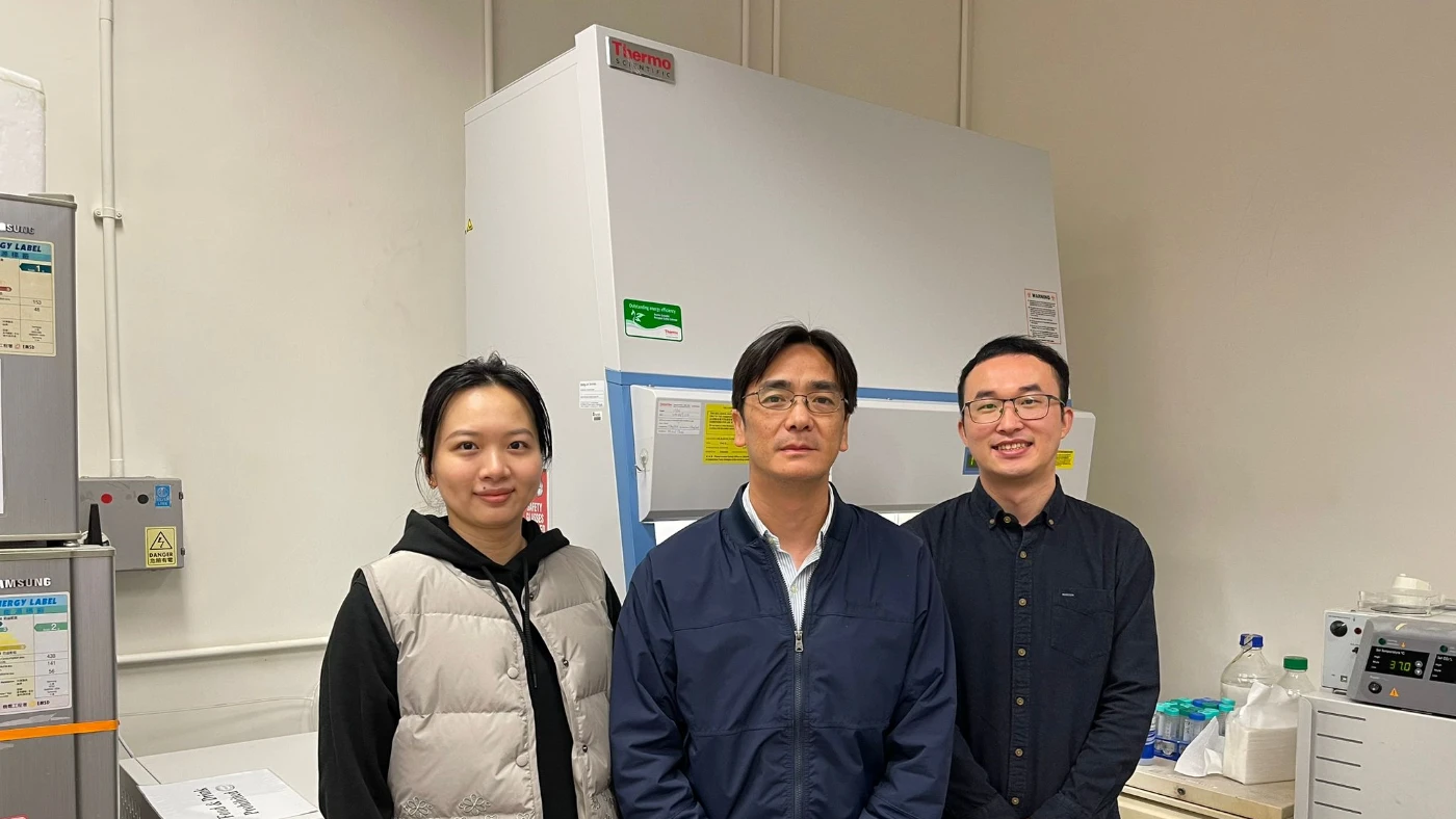 港大機械工程學者細胞和組織力學研究取得突破<br>
有助解構器官形成和胚胎發育過程
