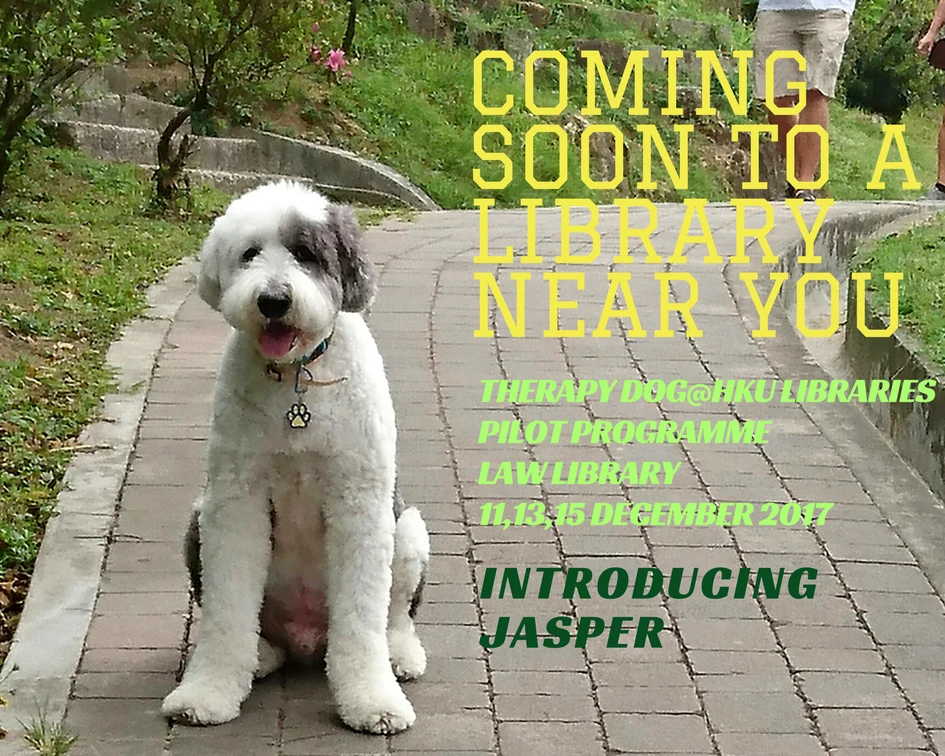HKU Libraries Resident Therapy Dog Programme:<br>
A unique first for Hong Kong and higher education