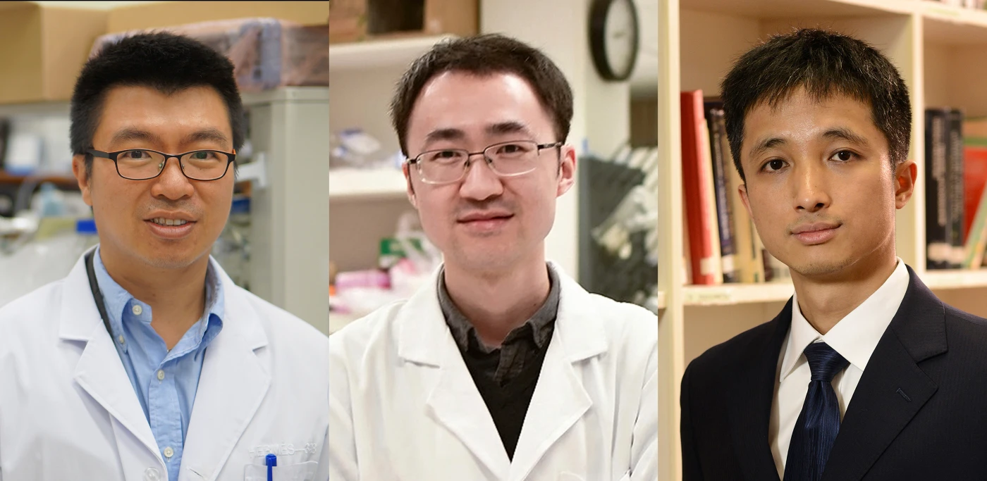 香港大學三位傑出學者獲裘槎基金會頒授裘槎科研獎項