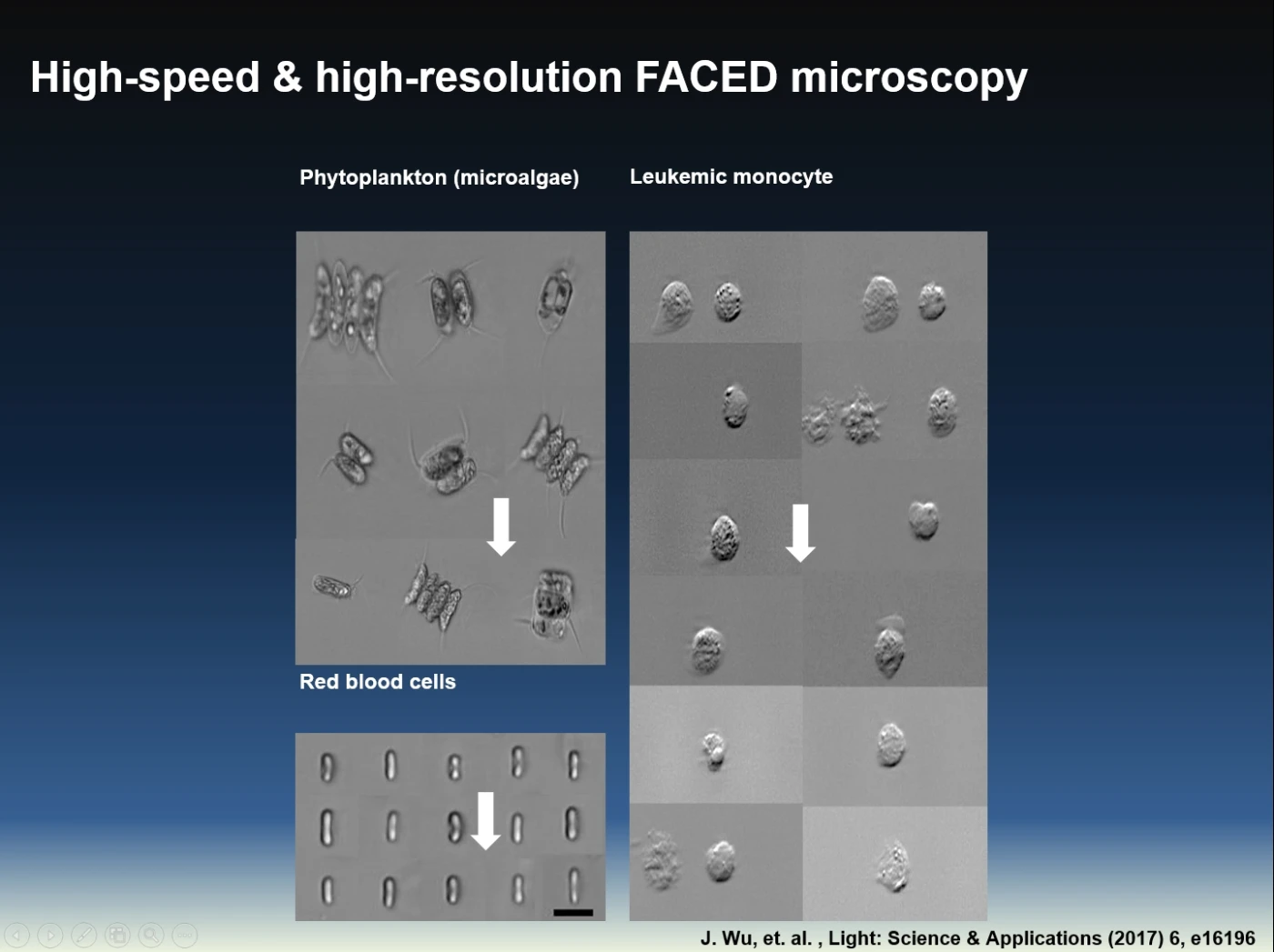 FACED provides high-speed high-resolution images of moving objects