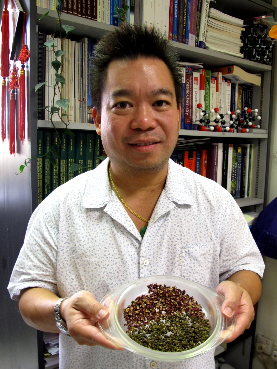 Dr Toy and his co-workers plan to use their synthetic HAS in candy that provides the pleasant effects of eating huajiao, while not containing the bitter components.