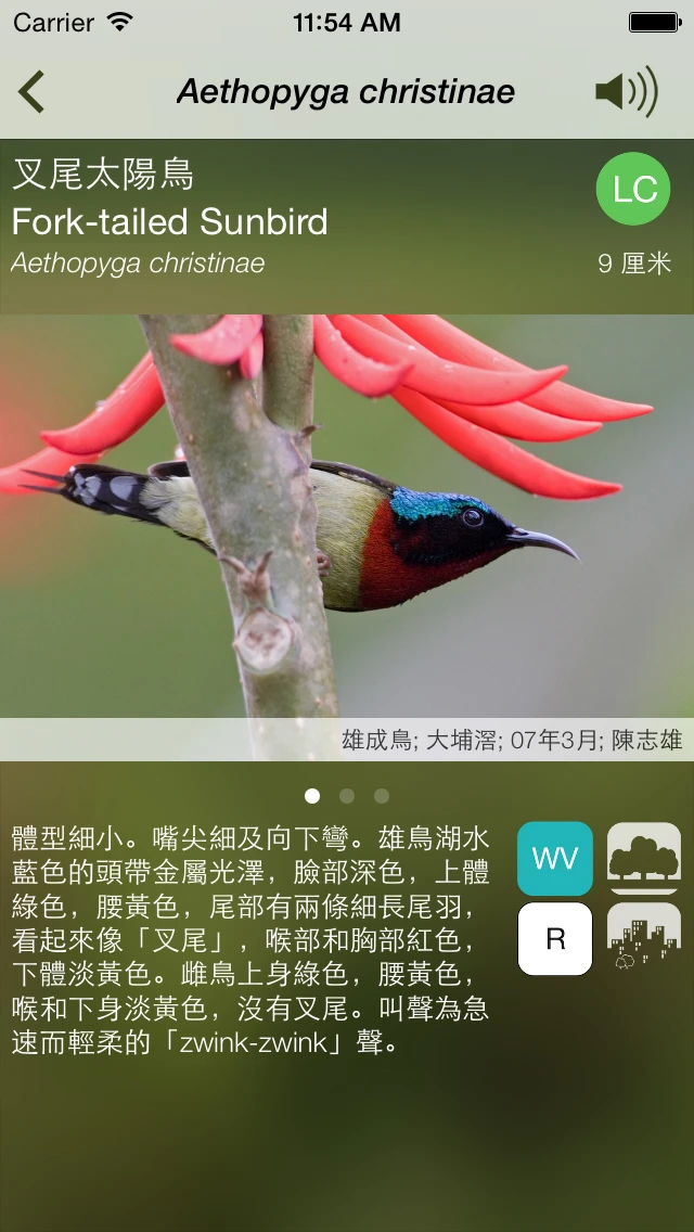 Birds of Hong Kong in Your Hands Mobile App “HKcBirds: Common Birds of Hong Kong” launched
