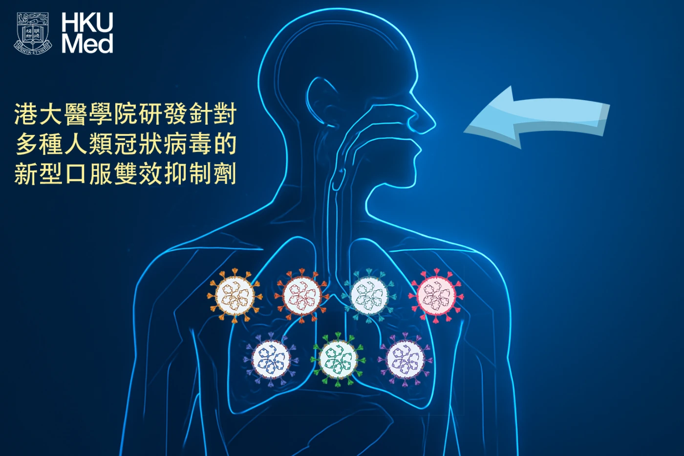 新型雙效抑制劑TMP1對多種人類致病性冠狀病毒，包括高致病性新冠病毒、沙士病毒及中東呼吸綜合症冠狀病毒，均具廣譜抗病毒效力。