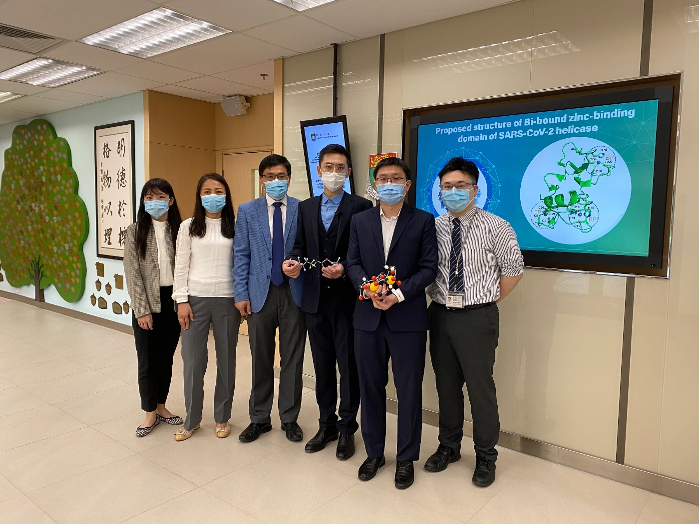 港大發現含鉍藥物與乙酰半胱氨酸藥物組合「雞尾酒療法」<br>
可作為潛在廣譜口服抗新冠特效藥