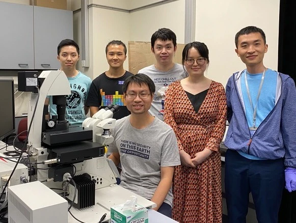 An unexpected heat shock to neurons: HKU scientists and collaborators uncover a new mechanism for balancing protein stability during neuronal development