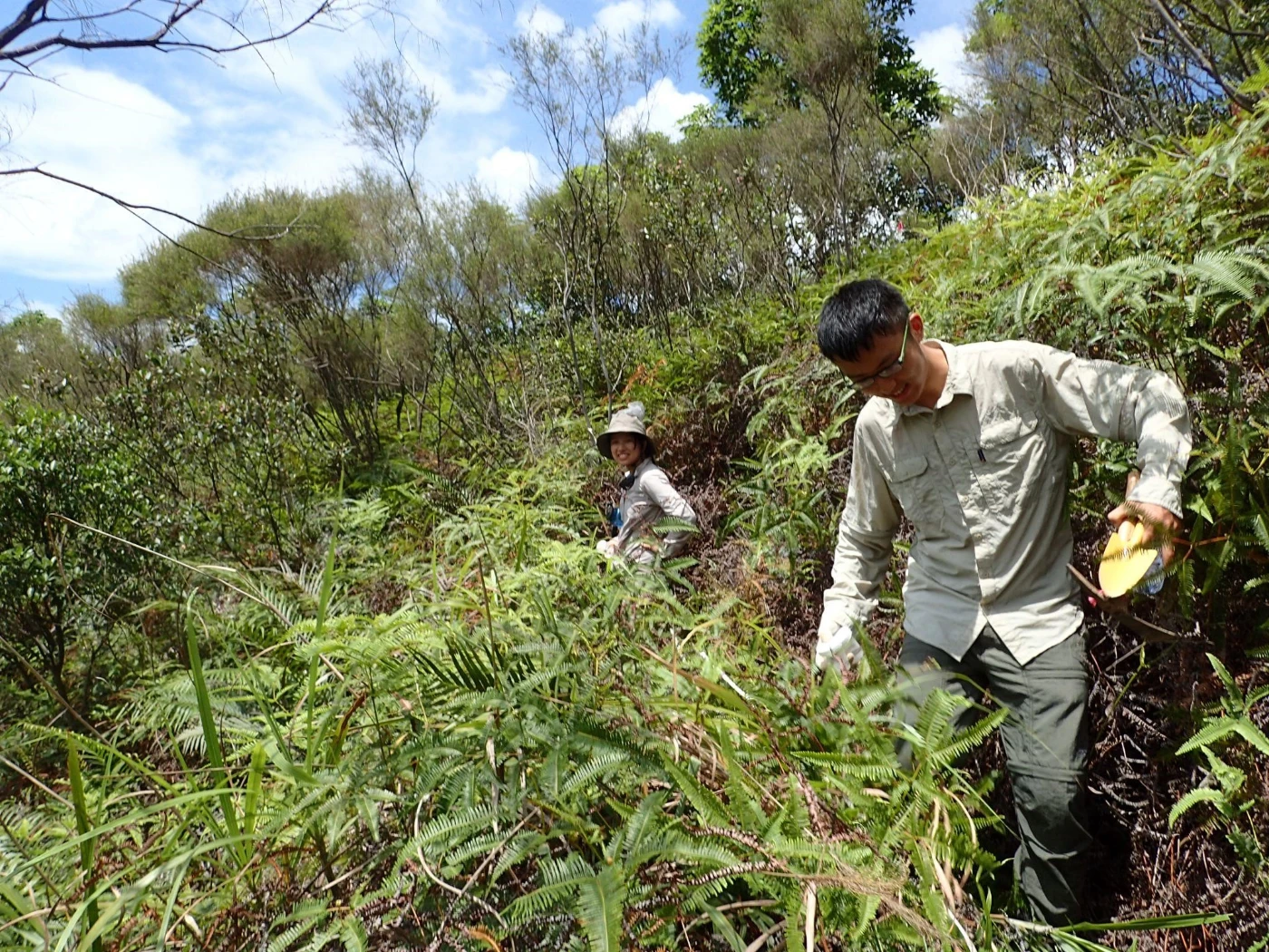 Ms Ying LUO and Mr Chase Liu Wei WANG from the Insect Biodiversity and Biogeography Laboratory resampling ants in a shrubland in 2010s. (Photo credit: Insect Biodiversity and Biogeography Laboratory.)