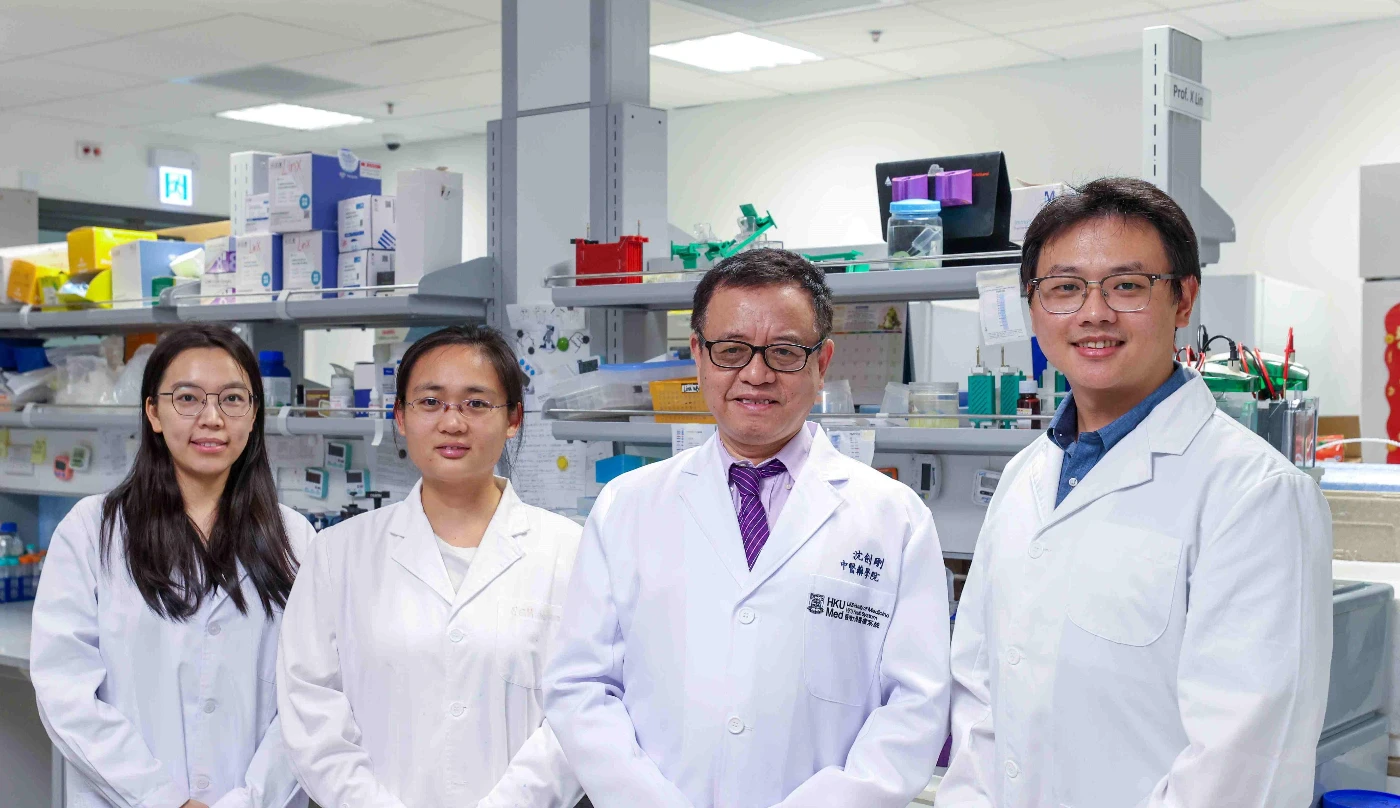 HKUMed develops combined therapy integrating Chinese herb astragalus and methotrexate to overcome drug resistance in autoimmune diseases