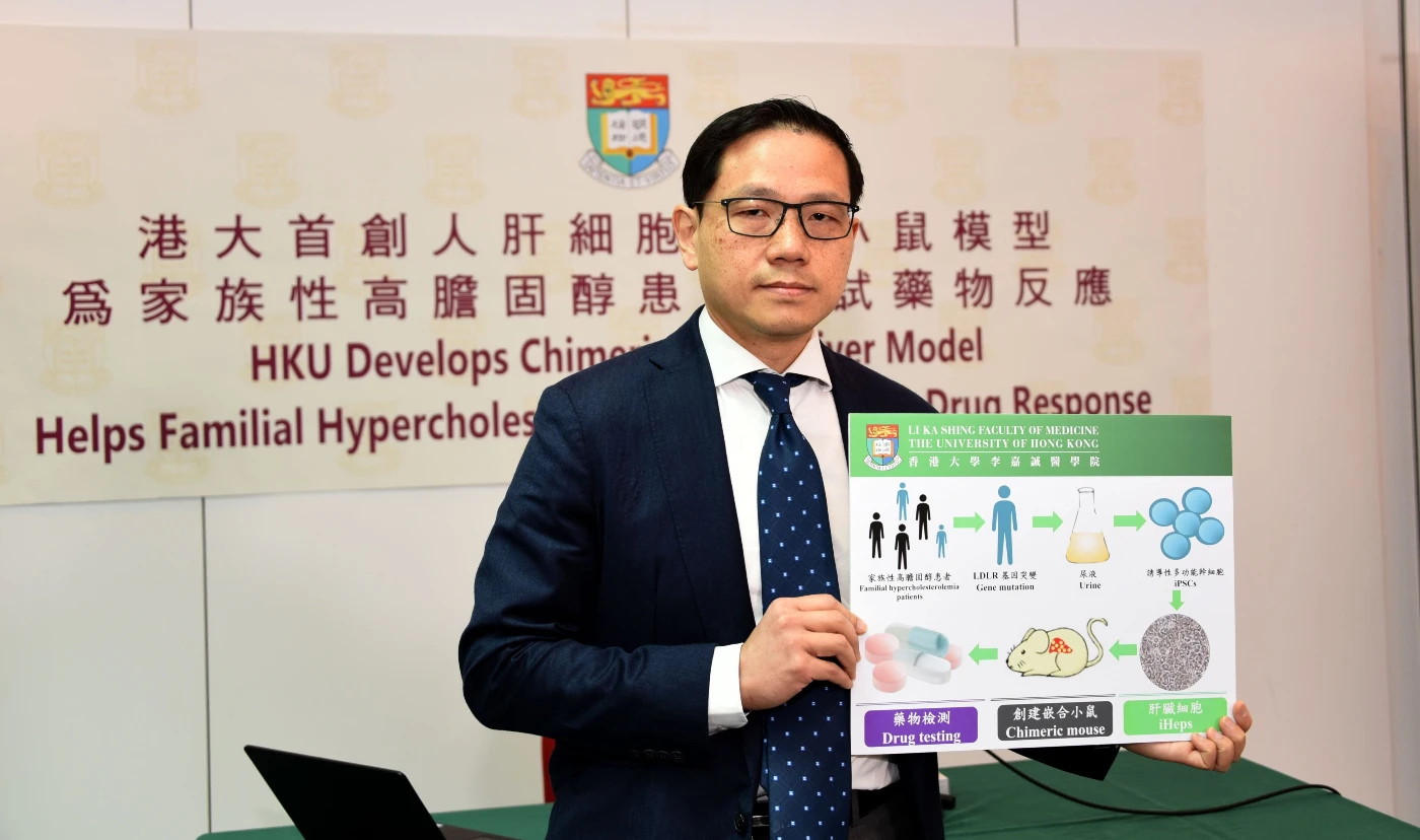 港大首創人肝細胞嵌合小鼠模型<br>
為家族性高膽固醇患者測試藥物反應