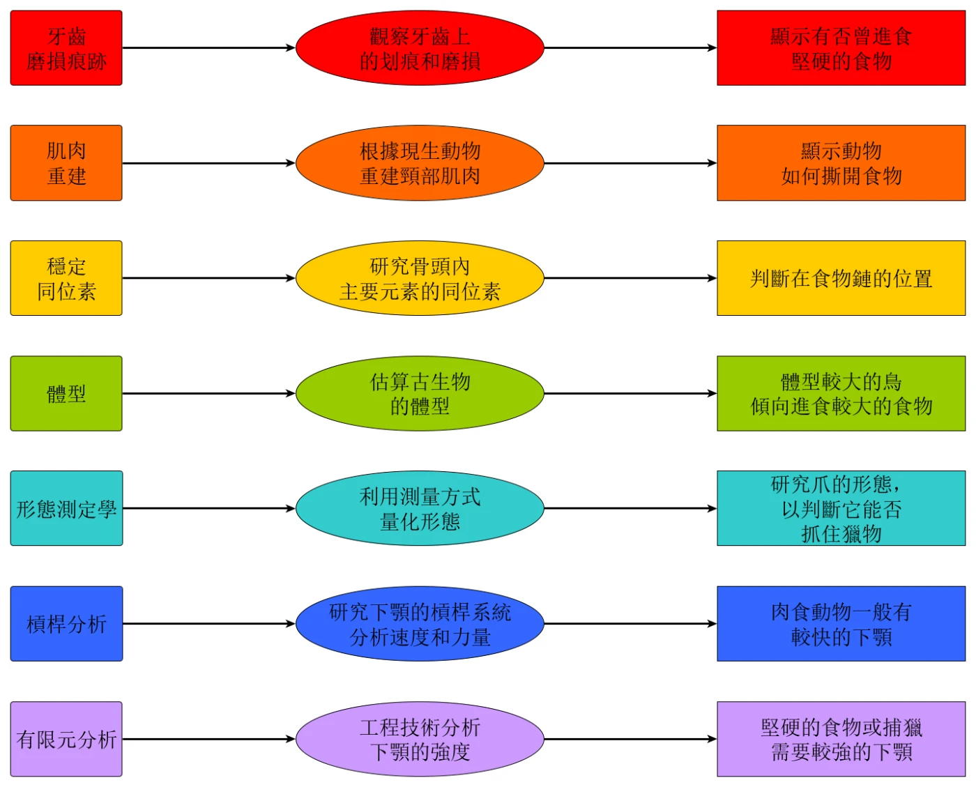 圖2. Miller和文博士提出的框架的簡化版本。 從左到右：技術名稱，簡單描述，以及它可以告訴我們有關飲食的資訊。更詳細的版本，請參見已發表論文的圖8。圖片提供：Case Vincent Miller 和 Michael Pittman。