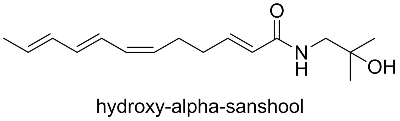 HKU Chemists Synthesize Chemical Component of Sichuan Peppers that Causes Numbing Sensation of Eaters
