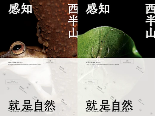 雙封面：斑腿泛樹蛙（左）、圓尾銀板蛛