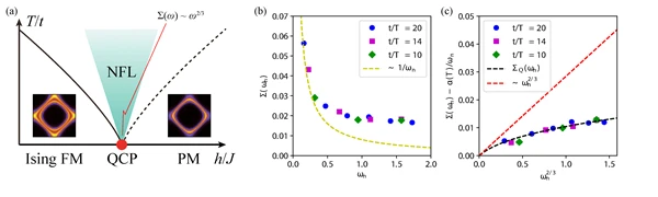 (a) Schematic phase diagram of ferromagnetic NFL, with the expected power-law behave in self-energy. (b) Self-energy calculated from quantum Monte Carlo simulation. It appears to have a slow diverging form. (c) NFL self-energy revealed after deduction of the thermal contribution. The black dashed line shows the theoretical prediction of zero-temperature NFL self-energy, while the red dashed line marks the low-frequency power-law form.