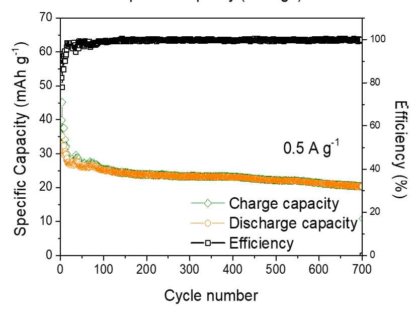 Electrochemical performance of the aqueous Mg metal battery