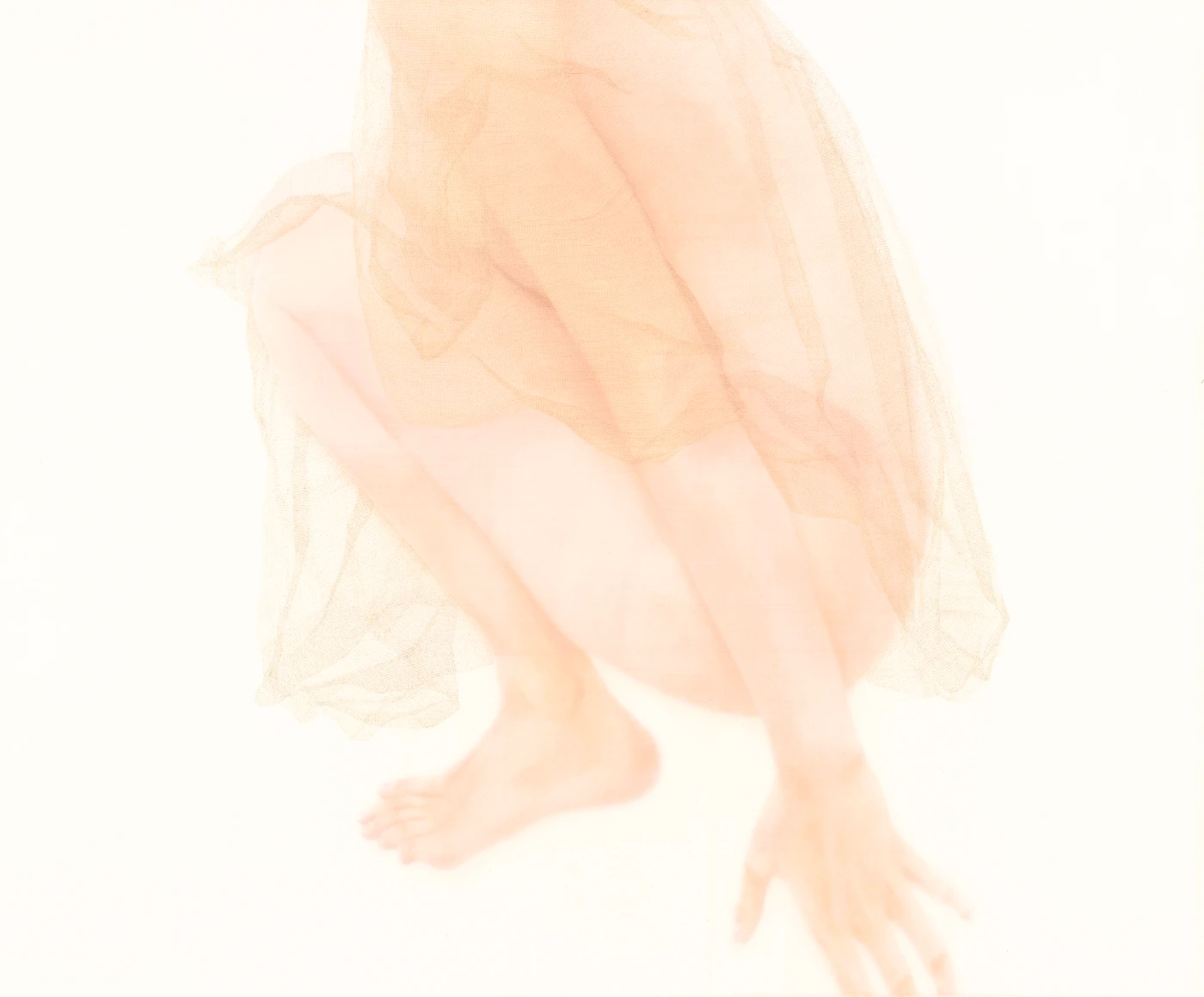 徐華翎
     《香2014 No.8》
     2014
     絹本設色
     100 × 121 厘米