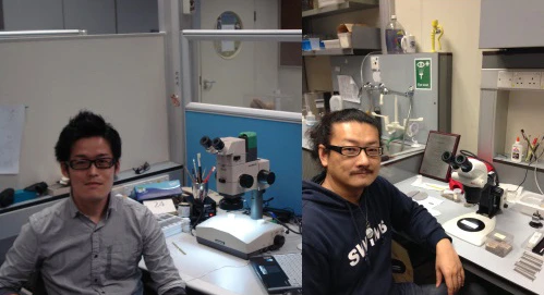 Dr Hokuto Iwatani (left) and Dr Moriaki Yasuhara (right) working in their laboratories at the School of Biological Sciences, The University of Hong Kong.