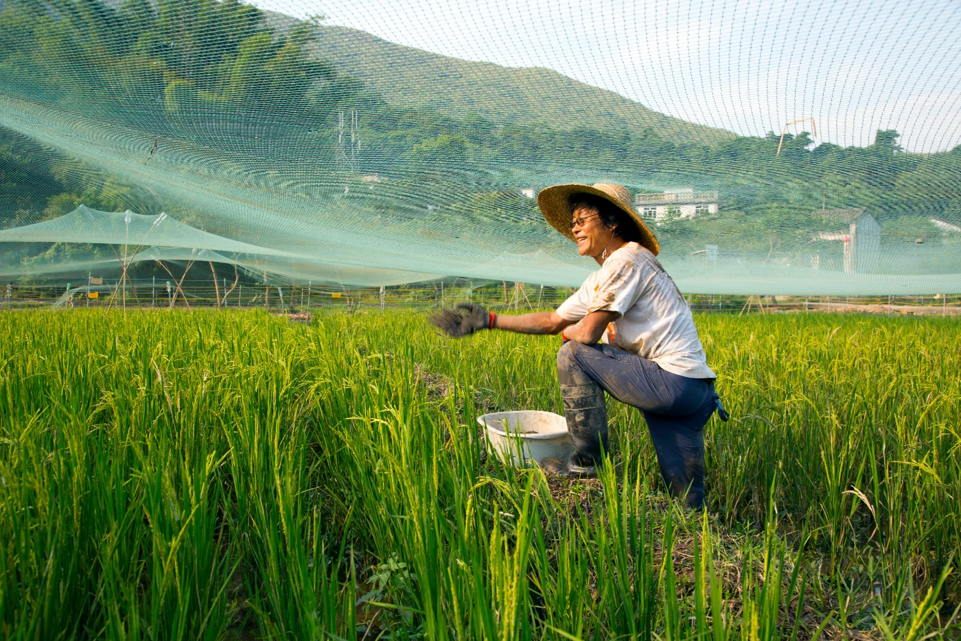 Paddy farming is resumed after decades of abandonment. Eco-farming is introduced for nature and cultural conservation and experiential learning.