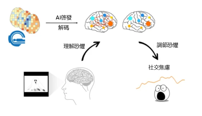 港大研究團隊提出一項理解與治療社交焦慮的變革性方法，挑戰過去數十年以實驗室為本的研究假設，為靶向療法開展新篇章。