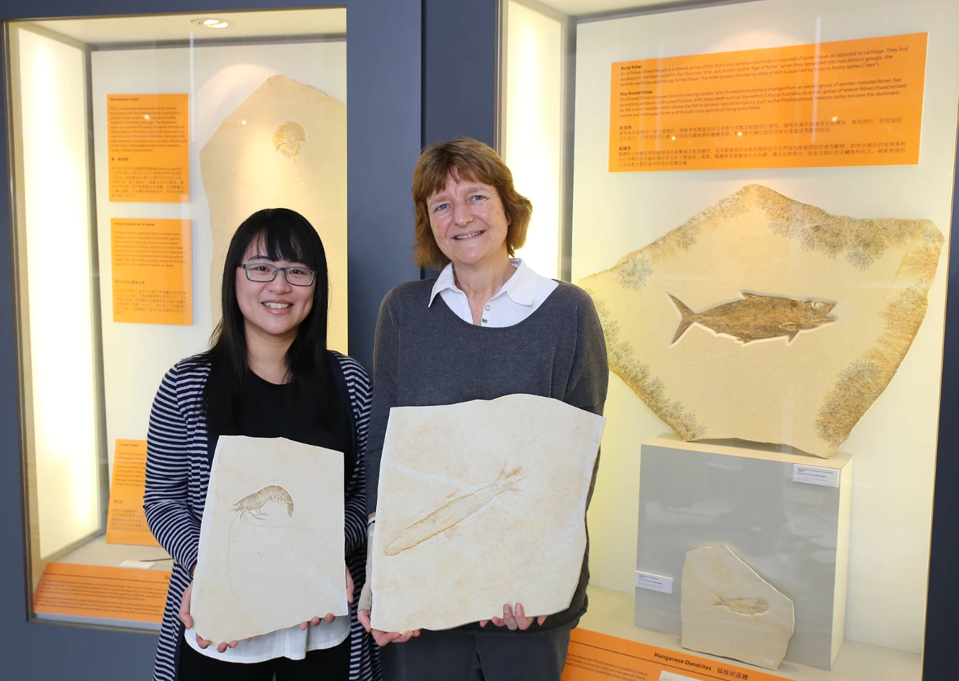 An HKU Stephen Hui Geological Museum exhibition launches on Earth Day: Snapshots of a Vanished Environment – Exceptional Fossils from the world famous Jurassic Solnhofen Limestone in Germany