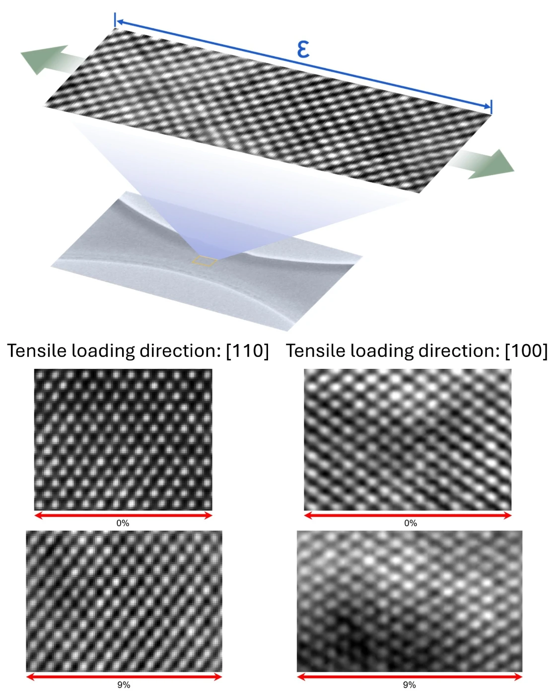 In situ HRTEM images show the quantified distribution of deep-strained atomic coordinates, indicating pure lattice elongation without extended defects or phase changes.