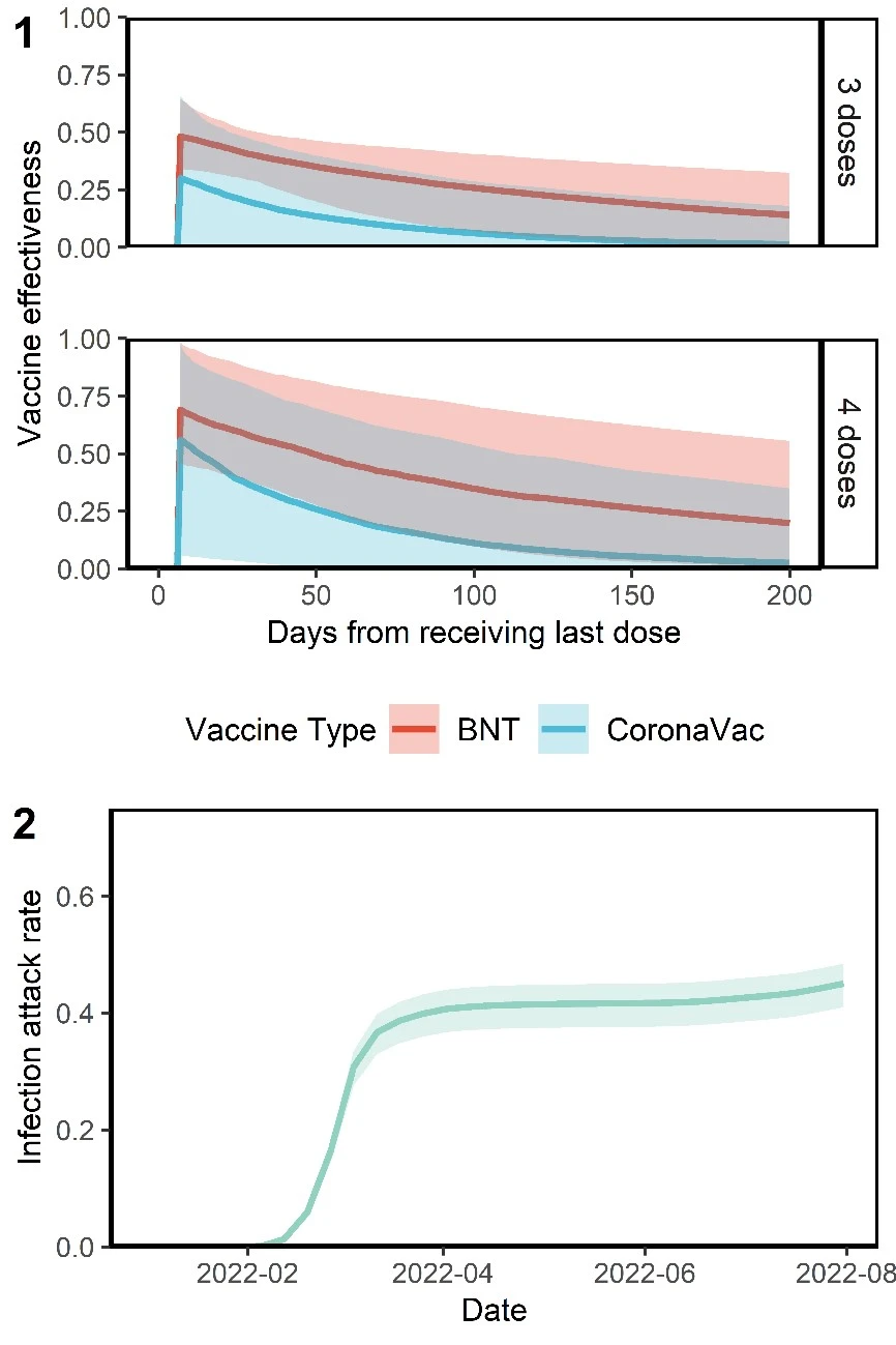 HKUMed study reveals three or four doses <br>
of the Comirnaty or CoronaVac vaccines <br>
remain effective in preventing Omicron infection