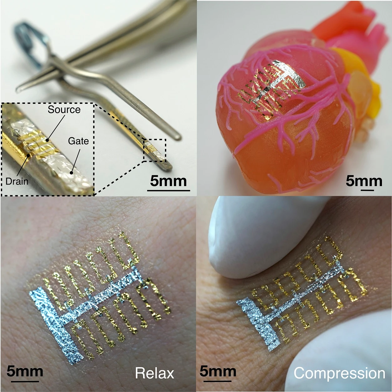 Figure 3. Demonstration of the transferrable property of device by transferring it to an aneurysm clip, an artificial heart as well as human hand. Scale bar is 5 mm and 500 μm in enlarged view.