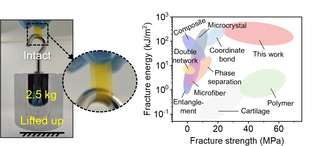 Mechanical performance of the ionogel and comparison with other gel materials.