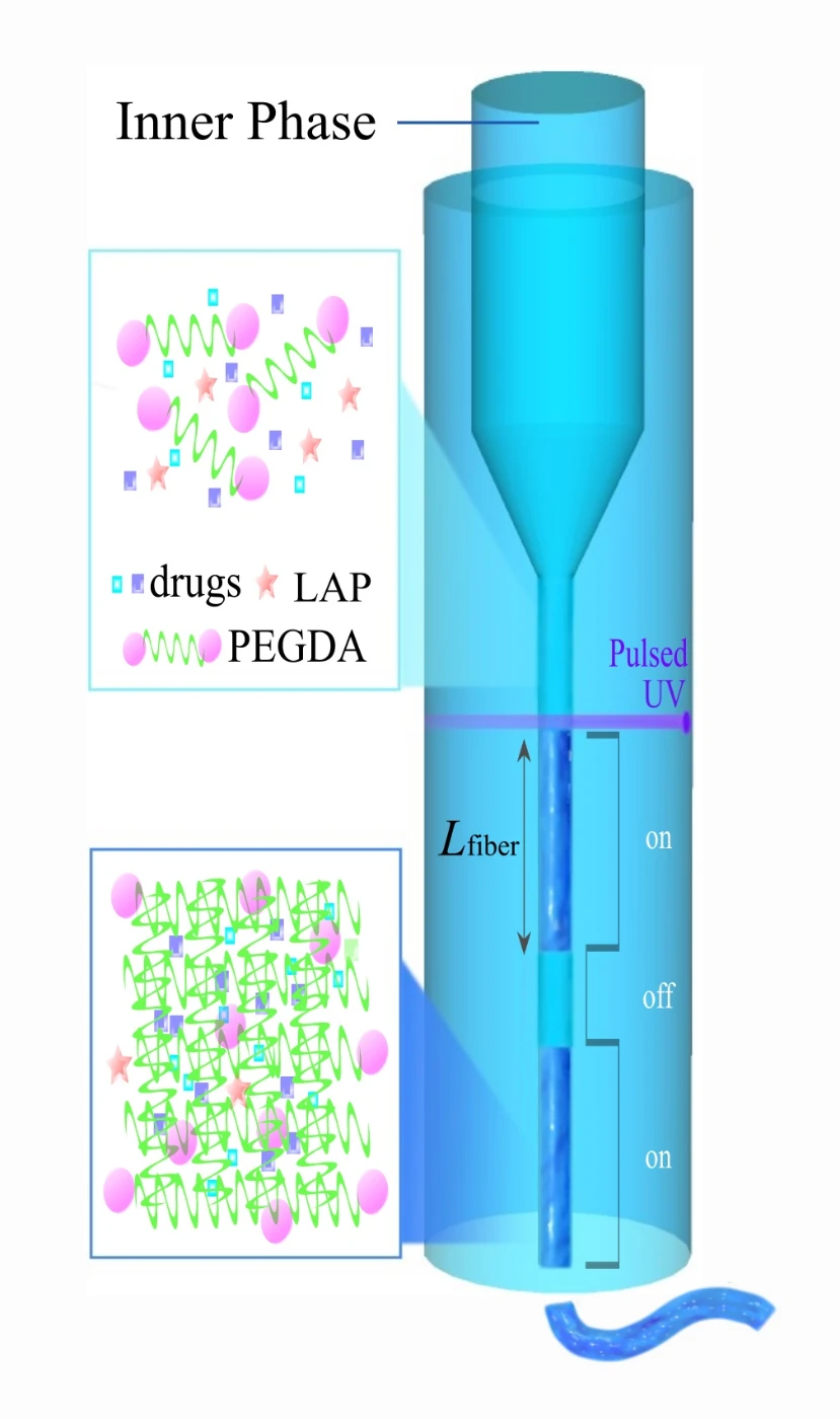 港大生物醫學工程團隊研發<br>
新型全水性可注射水凝膠作先進醫療應用