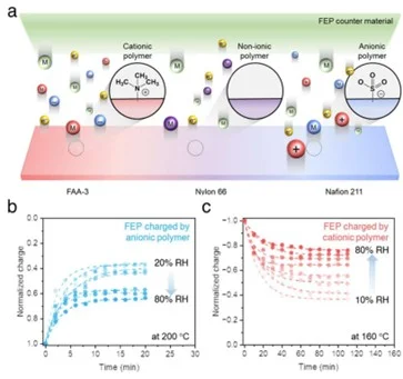 HKU Engineering Researchers Unveil New Insights into Ion-Driven Charge Transfer